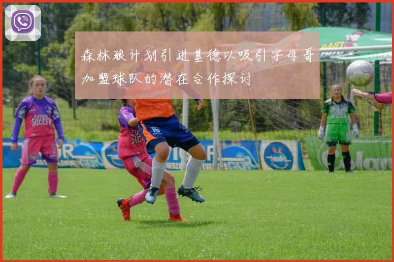 森林狼计划引进基德以吸引字母哥加盟球队的潜在合作探讨