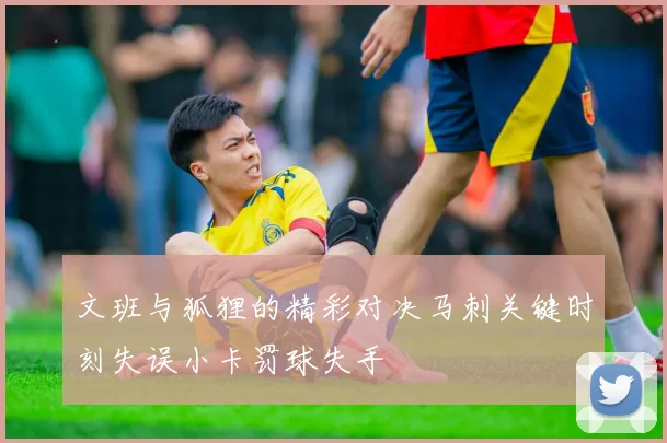 文班与狐狸的精彩对决马刺关键时刻失误小卡罚球失手